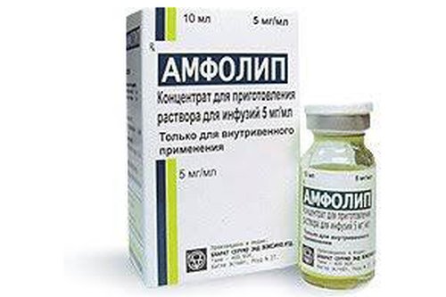 Покупка препарата «Амфолип»